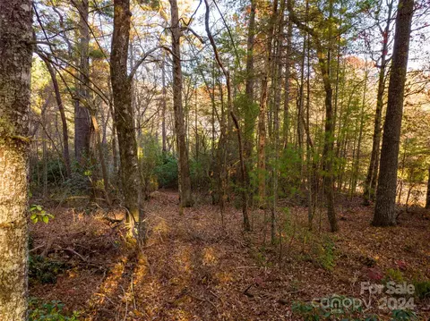 Alexander Crest Drive, Fairview, NC 28730 photo 4