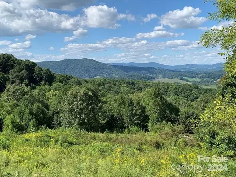 25 Farm Cove Ln, Leicester, NC 28759