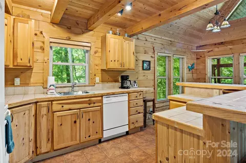 800 Lake Adger Pkwy, Mill Spring, NC 28756 photo 9