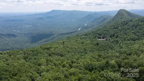 99999 Arrowhead 80 Trl #80, Columbus, NC 28722