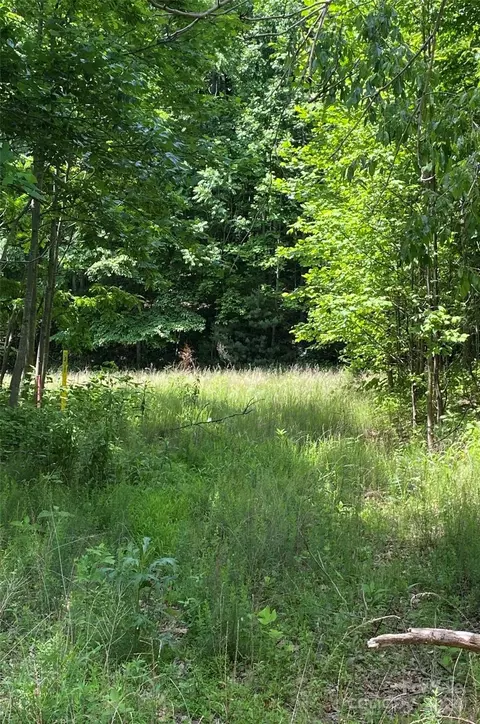 199 Cherry Hl, Mill Spring, NC 28756