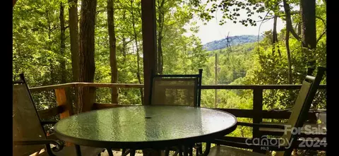 46 Bear Wallow Dr, Spruce Pine, NC 28777 photo 4