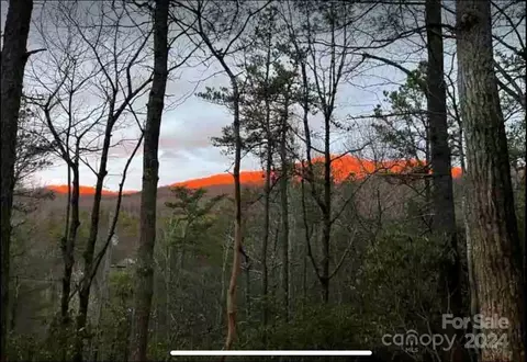 46 Bear Wallow Dr, Spruce Pine, NC 28777 photo 9