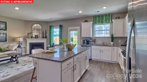 10981 Claystone Dr, Davidson, NC 28036 photo 5