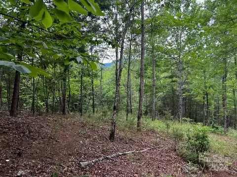Lake Adger Parkway, Mill Spring, NC 28756