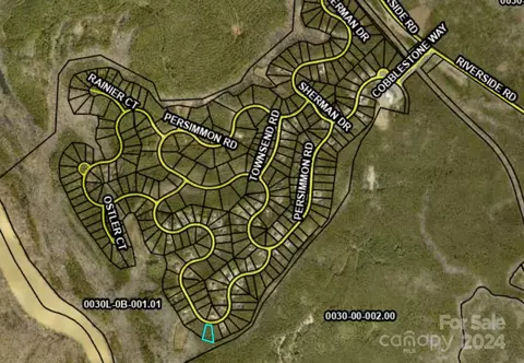 6147 Chimney Bluff Rd, Lancaster, SC 29720 photo 11