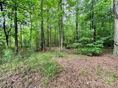 6147 Chimney Bluff Rd, Lancaster, SC 29720 photo 10