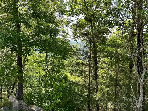 387 Wild River 6 Run #6, Marshall, NC 28753