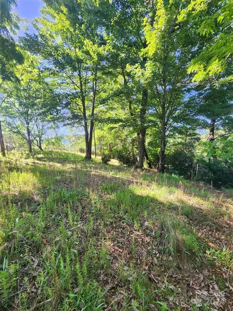190 Stonefly 157 Dr #157, Horse Shoe, NC 28742
