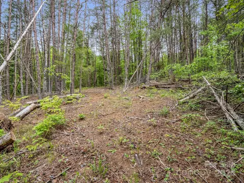 000 Henry Ruff Lot 1 Rd #LOT 1, Mill Spring, NC 28756 photo 7