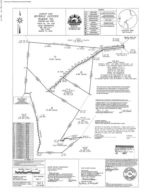 000 Henry Ruff Lot 1 Rd #LOT 1, Mill Spring, NC 28756 photo 14