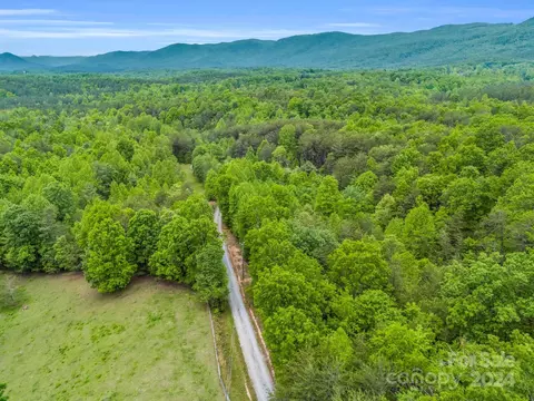 000 Henry Ruff Lot 1 Rd #LOT 1, Mill Spring, NC 28756