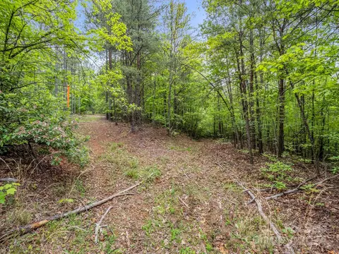 000 Henry Ruff Lot 1 Rd #LOT 1, Mill Spring, NC 28756 photo 11