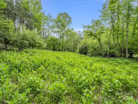 000 Henry Ruff Lot 1 Rd #LOT 1, Mill Spring, NC 28756 photo 6