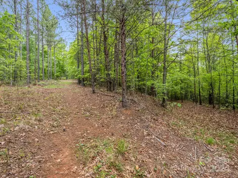000 Henry Ruff Lot 1 Rd #LOT 1, Mill Spring, NC 28756 photo 10