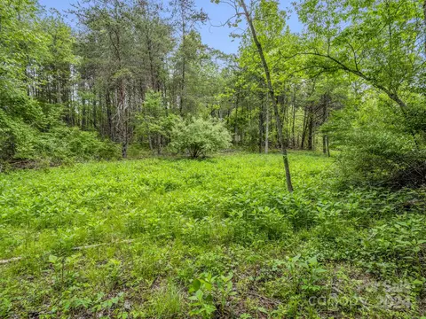 000 Henry Ruff Lot 1 Rd #LOT 1, Mill Spring, NC 28756 photo 5
