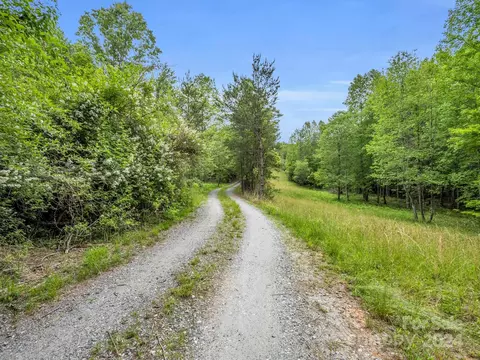000 Henry Ruff Lot 1 Rd #LOT 1, Mill Spring, NC 28756 photo 2