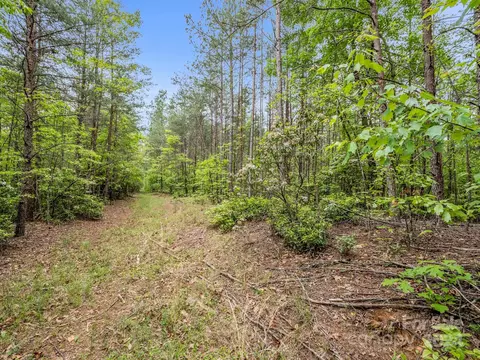 000 Henry Ruff Lot 1 Rd #LOT 1, Mill Spring, NC 28756 photo 12