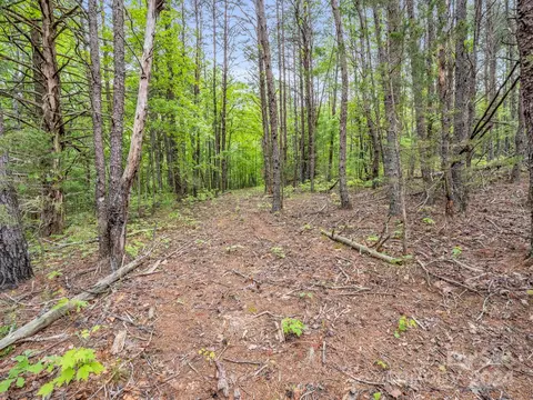 000 Henry Ruff Lot 1 Rd #LOT 1, Mill Spring, NC 28756 photo 8