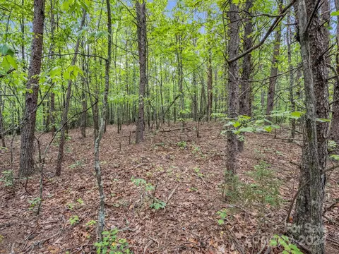000 Henry Ruff Lot 1 Rd #LOT 1, Mill Spring, NC 28756 photo 9