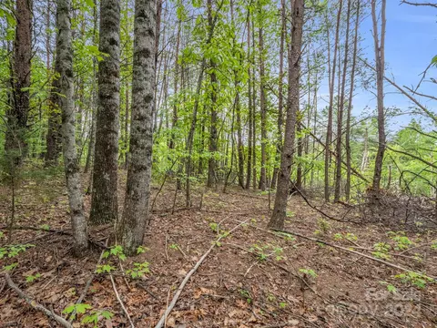000 Henry Ruff Lot 1 Rd #LOT 1, Mill Spring, NC 28756 photo 13