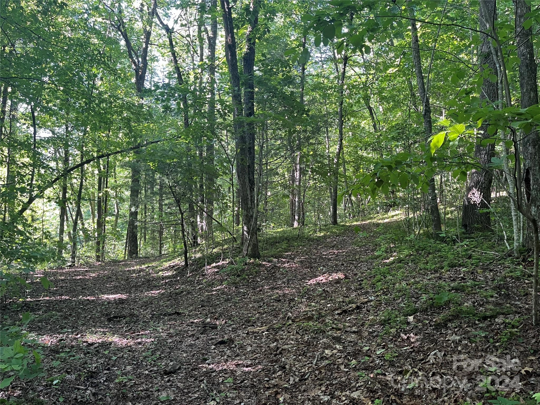 00 Haven A Dr Unit A  