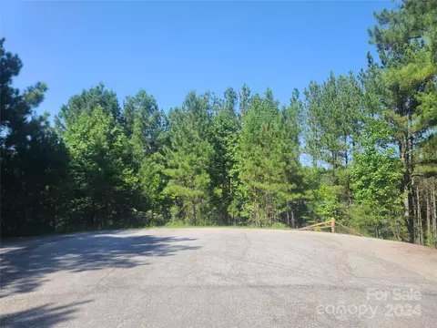0 Ashley 7 Ct #7, Mill Spring, NC 28756 photo 8