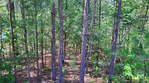 0 Ashley 7 Ct #7, Mill Spring, NC 28756 photo 13