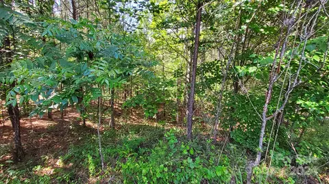 0 Ashley 7 Ct #7, Mill Spring, NC 28756 photo 9