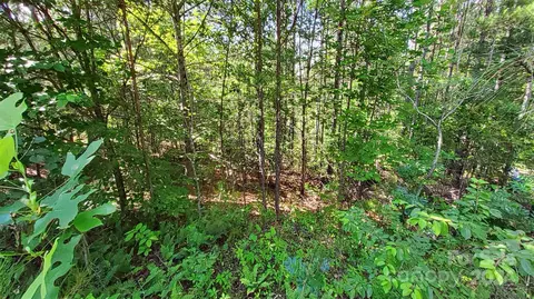 0 Ashley 7 Ct #7, Mill Spring, NC 28756 photo 10
