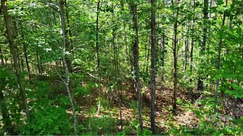 0 Ashley 7 Ct #7, Mill Spring, NC 28756 photo 14