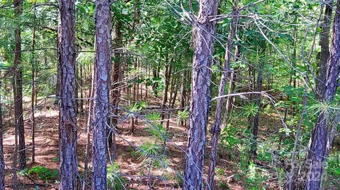0 Ashley 7 Ct #7, Mill Spring, NC 28756 photo 12