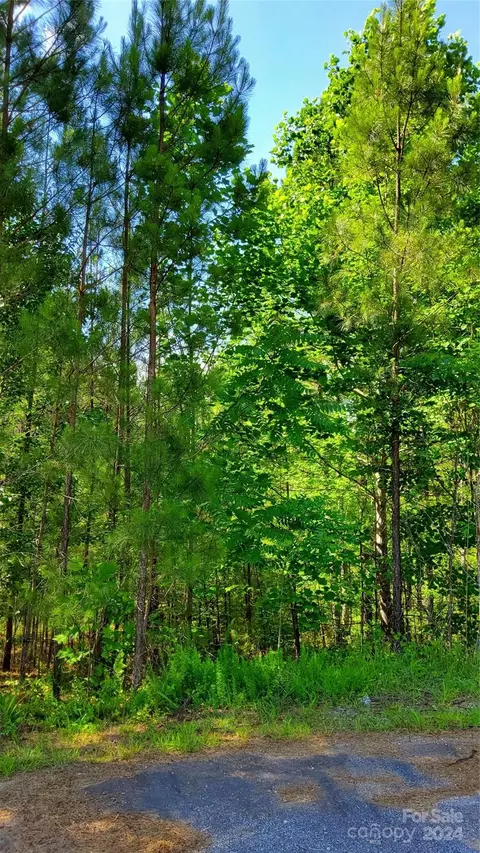 0 Ashley 7 Ct #7, Mill Spring, NC 28756 photo 17