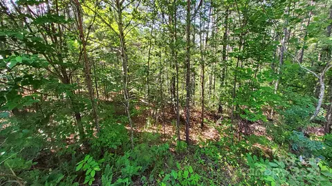 0 Ashley 7 Ct #7, Mill Spring, NC 28756 photo 15
