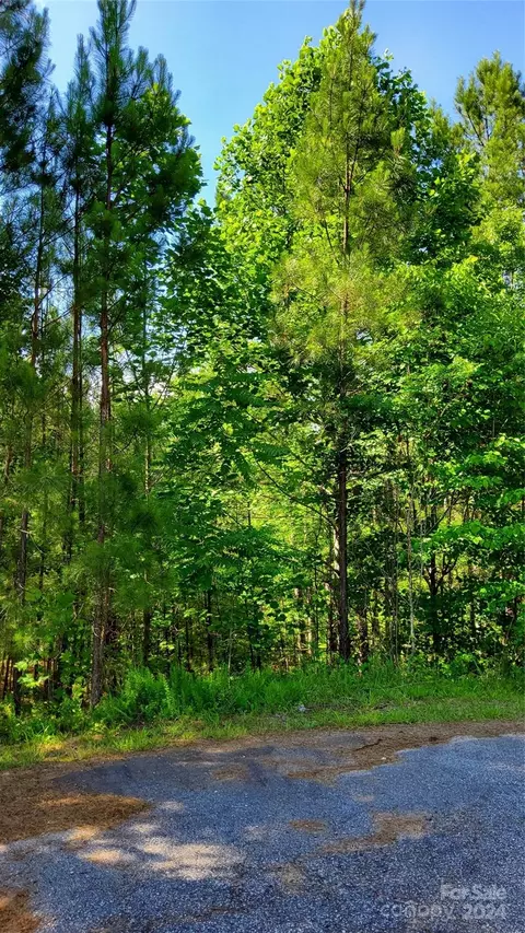 0 Ashley 7 Ct #7, Mill Spring, NC 28756 photo 16