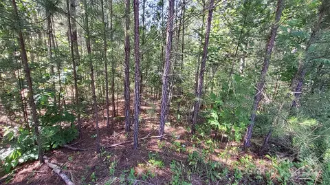 0 Ashley 7 Ct #7, Mill Spring, NC 28756 photo 11