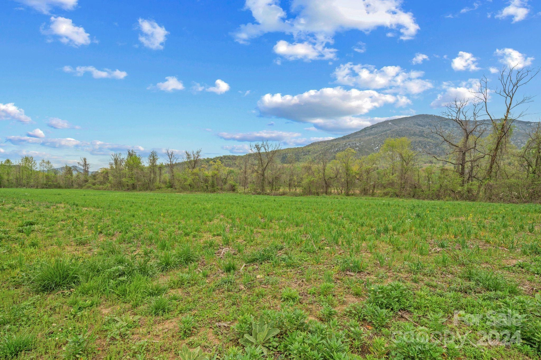 99999 Us 221 N Hwy N