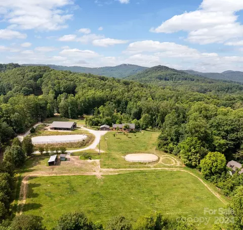 168 Edwards Mountain Dr, Hendersonville, NC 28792