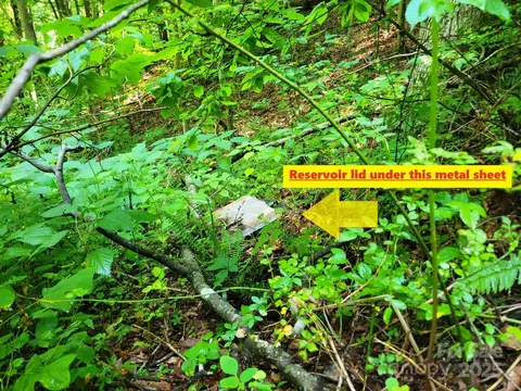 Other - 1851 Chambers Mountain Rd, Clyde, NC 28721 photo 8 of 9
