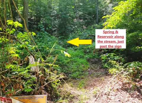 Other - 1851 Chambers Mountain Rd, Clyde, NC 28721 photo 7 of 9