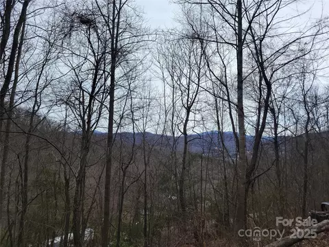 Other - 1851 Chambers Mountain Rd, Clyde, NC 28721 photo 6 of 9