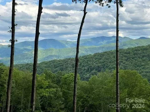 Running Deer Trail, Waynesville, NC 28786