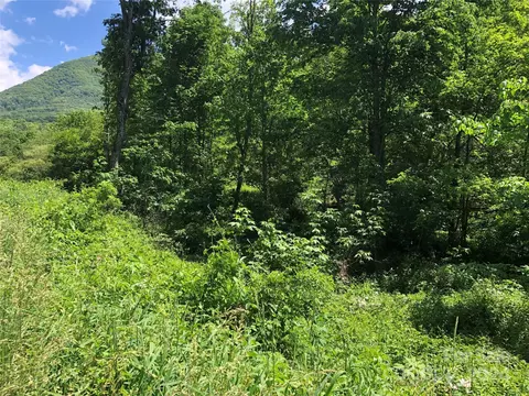 River Breeze Drive, Creston, NC 28615 photo 9