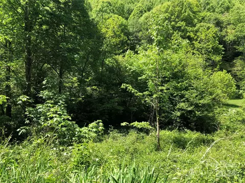 River Breeze Drive, Creston, NC 28615 photo 7
