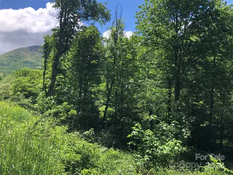 River Breeze Drive, Creston, NC 28615 photo 3