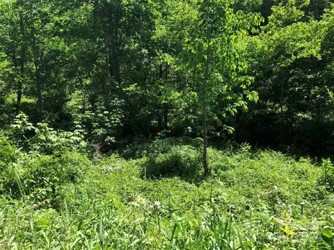 River Breeze Drive, Creston, NC 28615 photo 8