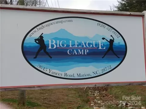 Biggerstaff Lot E Loop LOT E, Nebo, NC 28761 photo 10