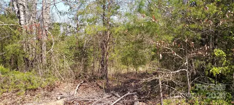 Biggerstaff Lot E Loop LOT E, Nebo, NC 28761 photo 3