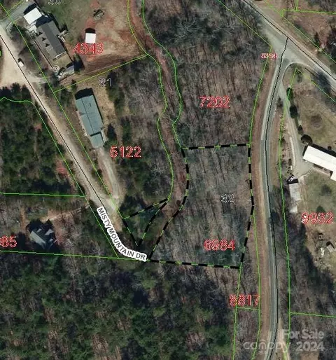 9999 Misty Mountain 32 Dr #32, Nebo, NC 28761