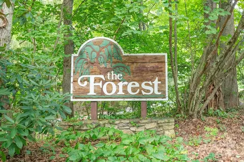 View/Area - 19 Winter Ln, Clyde, NC 28721 photo 1 of 1